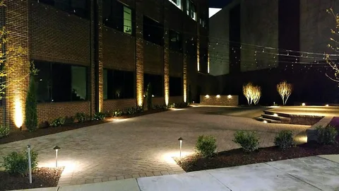 Vista Pro Commercial Outdoor Lighting | Professional lighting